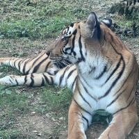 評論圖片 1