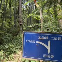 評論圖片 2