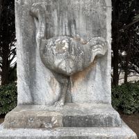評論圖片 3