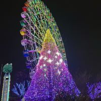 評論圖片 1