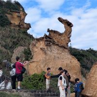 評論圖片 1