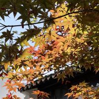評論圖片 2