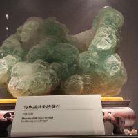 評論圖片 8