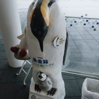 評論圖片 8