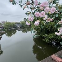 評論圖片 9