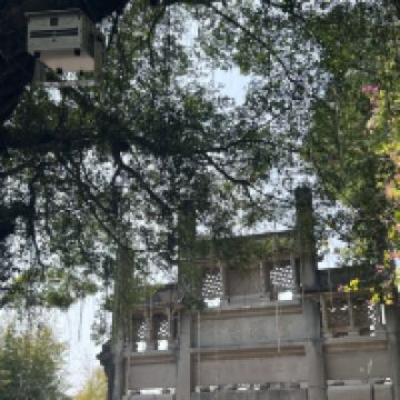 評論圖片 7