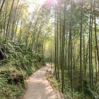 評論圖片 8