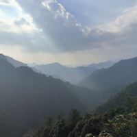 評論圖片 8