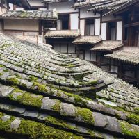 評論圖片 3