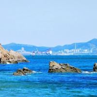 評論圖片 4