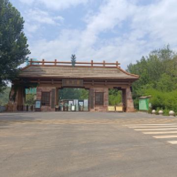 評論圖片 3