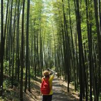 評論圖片 5