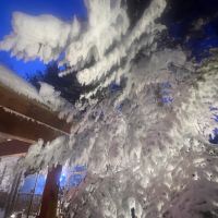 評論圖片 7