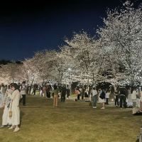 評論圖片 2
