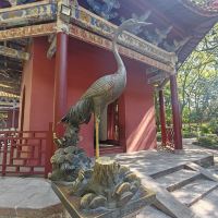 評論圖片 6