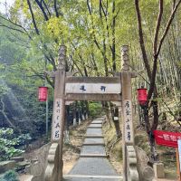 評論圖片 3