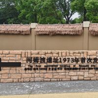 評論圖片 8