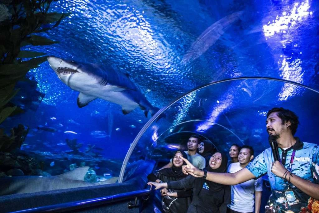 Aquaria KLCC Location How to Get There and What to Expect
