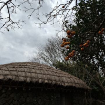 評論圖片 1