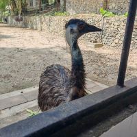 評論圖片 8
