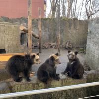 評論圖片 3