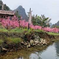 評論圖片 6