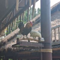 評論圖片 4