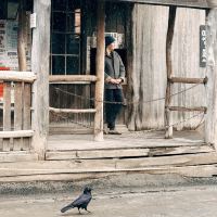 評論圖片 2
