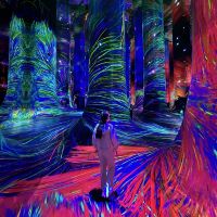 評論圖片 1