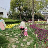 評論圖片 7