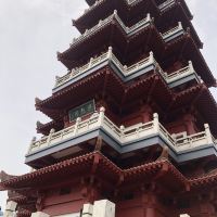 評論圖片 6