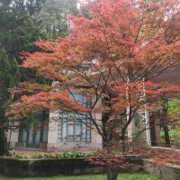 評論圖片 7