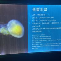 評論圖片 5