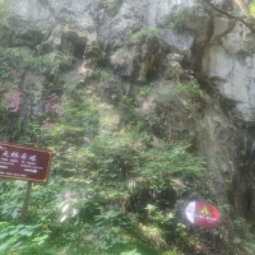 評論圖片 6