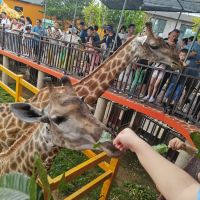 評論圖片 2