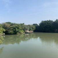評論圖片 3