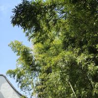 評論圖片 5