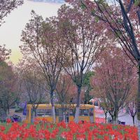 評論圖片 1