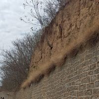 評論圖片 1