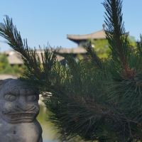 評論圖片 4