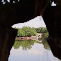 評論圖片 1
