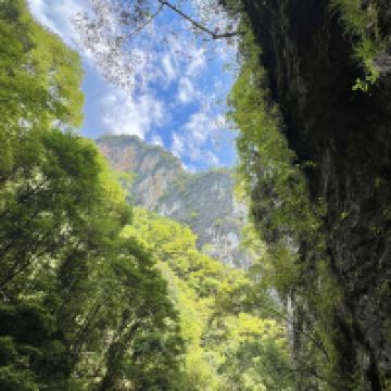 評論圖片 3