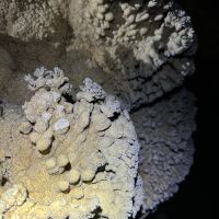 評論圖片 6