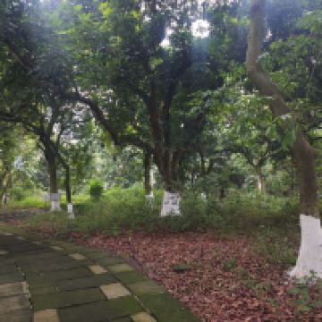 評論圖片 6