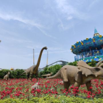 評論圖片 5