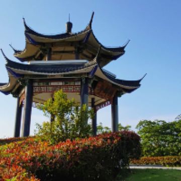 評論圖片 8