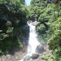 評論圖片 1