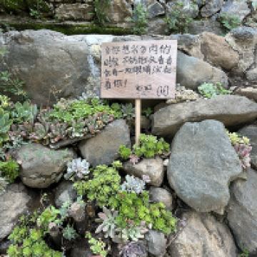 評論圖片 6