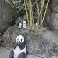評論圖片 3