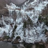 評論圖片 3